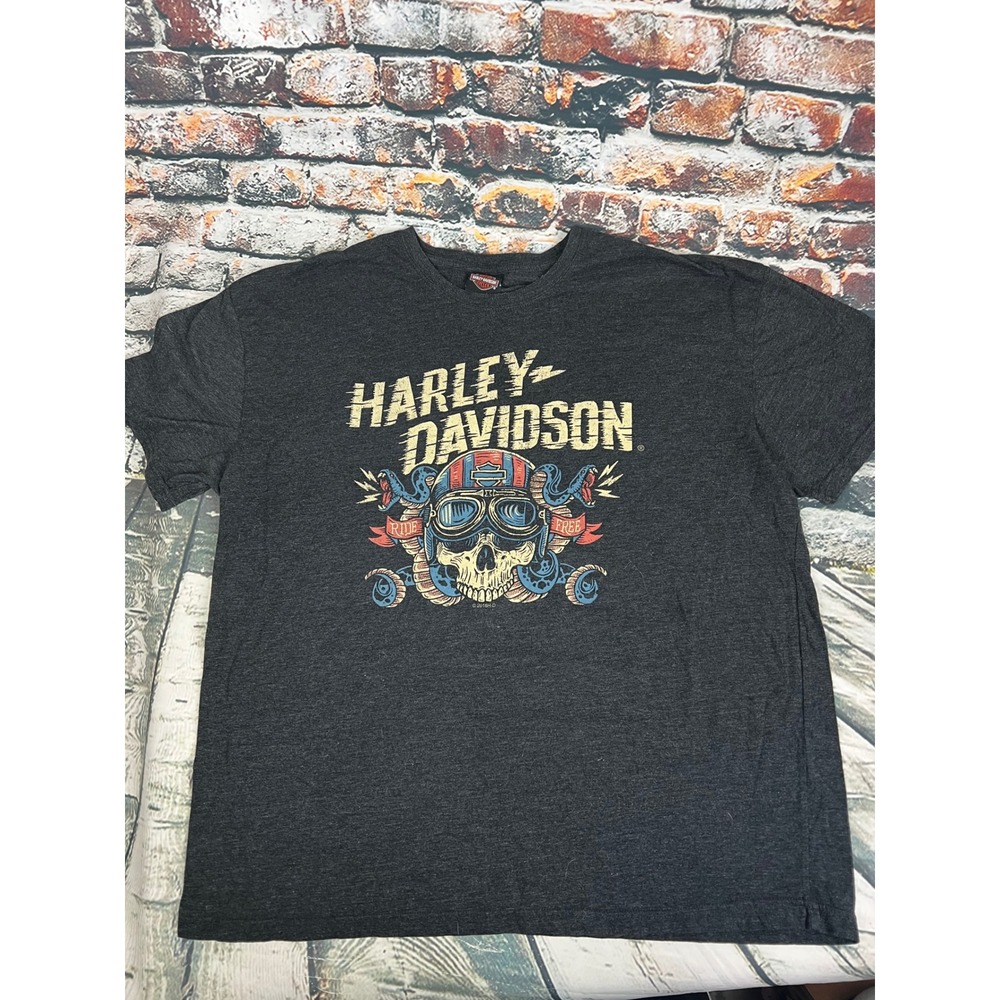 Harley-Davidson Mens XXL T-Shirt Charcoal Skull Ride Free Wisconsin Oconomowoc